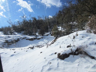冬日雪覆山林美景