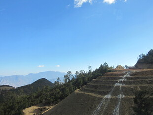 山间梯田美景