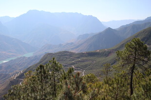 山间美景 葱郁树木与远山