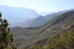 山间风景 蜿蜒道路隐于林
