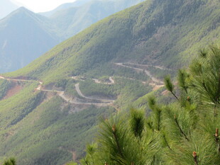 山间蜿蜒公路 绿意盎然