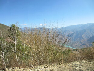 山间荒野景色
