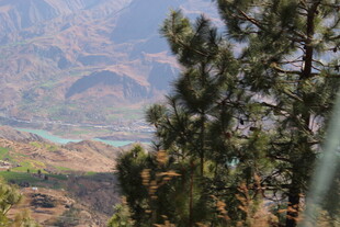 山间松景与远处河谷风光