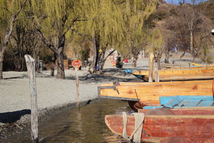 河畔停泊的多彩船只