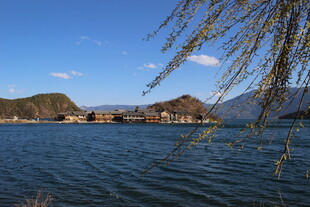 湖畔垂柳 山水相映成趣