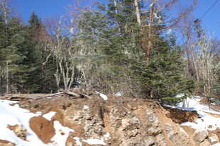 雪后山坡上的树木与岩石