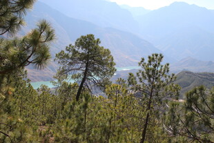 山林美景 远眺朦胧山峦