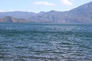 宁静湖水与远处山峦