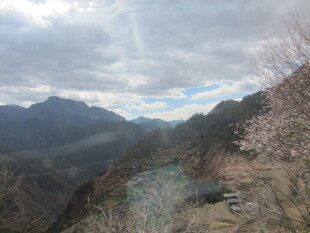 山间小道伴烂漫山花