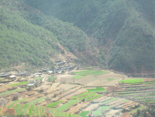 山间梯田村落美景