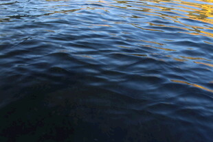 波光粼粼的水面