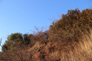 山间徒步者 自然好风光