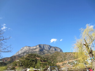 巍峨山峦与葱郁树木景观