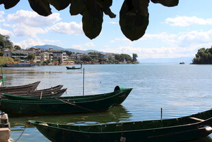 湖畔小船 宁静的水乡景致