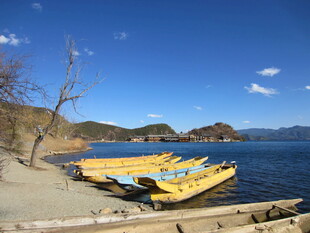 岸边停泊的多彩船只