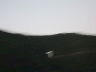 模糊山间的白色物体