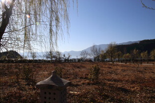 秋日郊野垂柳与远山景色