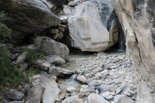 山间石缝中的潺潺溪流