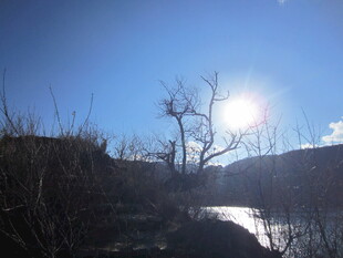 冬日暖阳下的萧瑟河岸