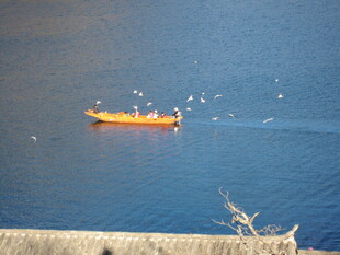 水面上的橙色小船