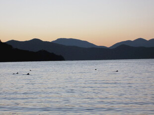 黄昏湖畔 远山与飞鸟