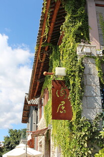 古店外墙爬满翠绿藤蔓