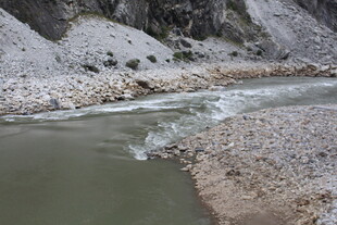 山间流淌的湍急溪流