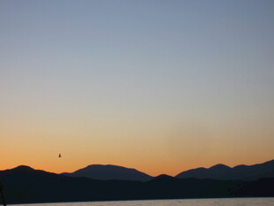 黄昏远山飞鸟湖景画面