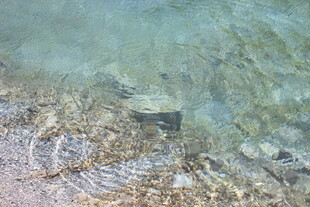 清澈水底的沙石与杂物