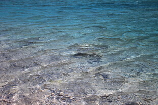 清澈见底的海边浅滩