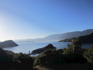 海边美景 远山近海绿意浓