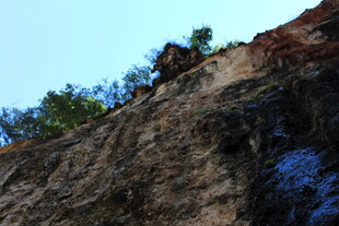 陡峭崖壁上的绿植