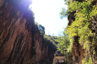 峡谷间的阳光与绿意