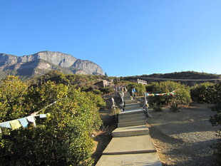 山间小径旁的自然景致