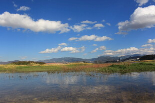 蓝天碧水间的美丽自然风光