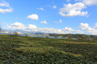 田园风光 蓝天白云下的田野