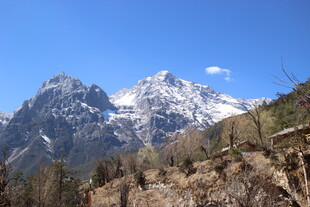 巍峨雪山与山间植被景观