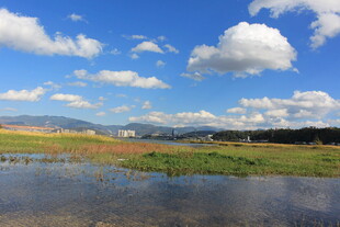 湖畔风光 蓝天白云映绿水