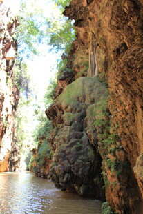 峡谷河流间的自然景致