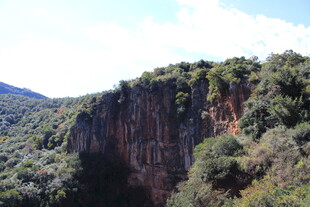 陡峭山崖上的繁茂植被