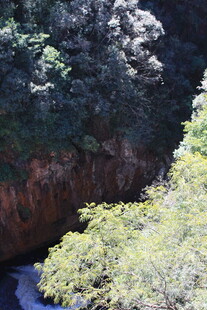 山间繁茂植被与幽深河谷