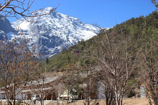 雪山下的山林景观