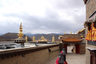 藏式建筑旁的行人景观