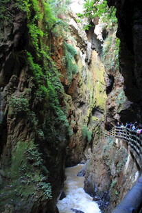 山间幽径 溪流穿林而过