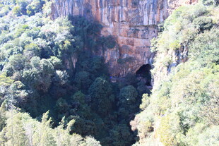 壮丽山壁与繁茂植被景观