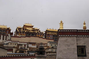 藏式金顶建筑景观