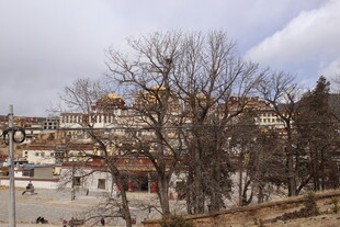 藏式建筑村落景观