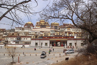 宏伟藏式建筑前的热闹场景