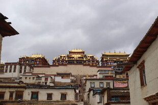 布达拉宫局部景观