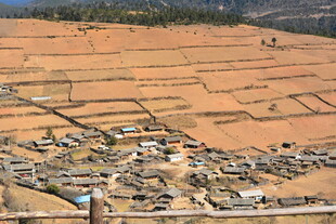 俯瞰田野中的村落